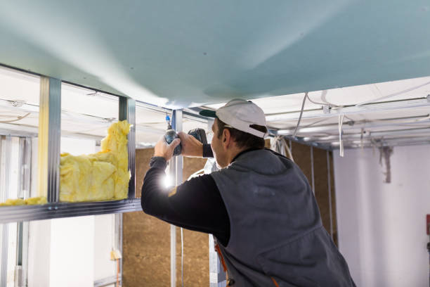 Best Insulation Contractors for Homes  in USA