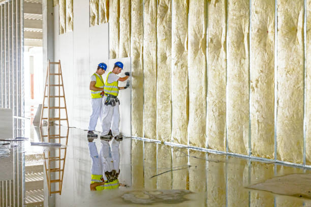 Best Cellulose Insulation  in USA